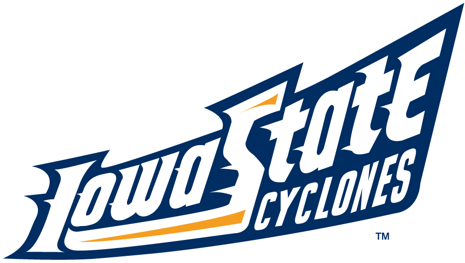 Iowa State Cyclones 1995-2007 Wordmark Logo v7 diy fabric transfer
